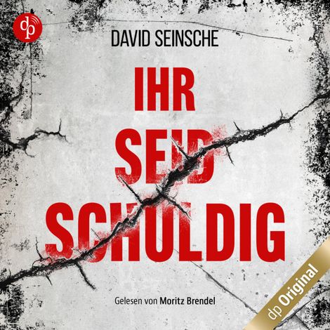 Hörbüch “Ihr seid schuldig (Ungekürzt) – David Seinsche”