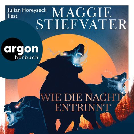 Hörbüch “Wie die Nacht entrinnt - Dreamer-Trilogie, Band 3 (Ungekürzte Lesung) – Maggie Stiefvater”