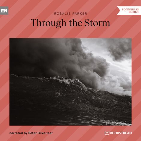 Hörbüch “Through the Storm (Unabridged) – Rosalie Parker”