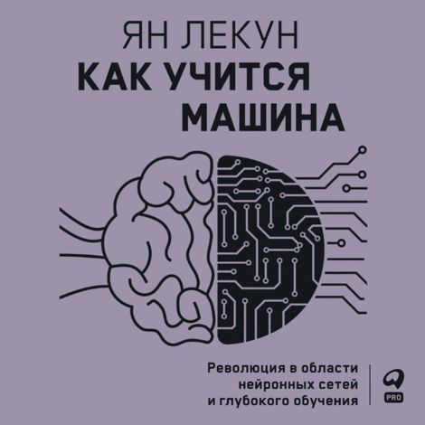 Аудиокнига «Как учится машина. Революция в области нейронных сетей и глубокого обучения – Ян Лекун»