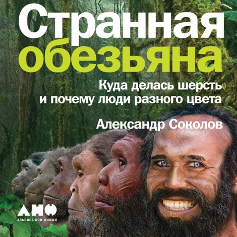 Аудиокнига «Странная обезьяна. Куда делась шерсть и почему люди разного цвета – Александр Соколов»