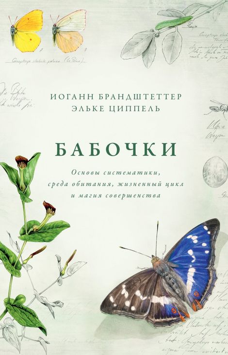 Книга «Бабочки. Основы систематики, среда обитания, жизненный цикл и магия совершенства – Иоганн Брандштеттер, Эльке Циппель»