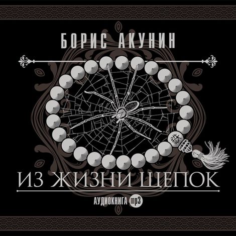 Аудиокнига «Из жизни Щепок – Борис Акунин»
