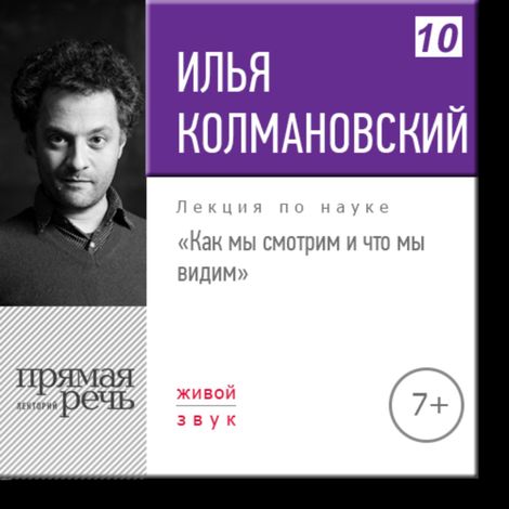 Аудиокнига «Как мы смотрим и что мы видим – Илья Колмановский»