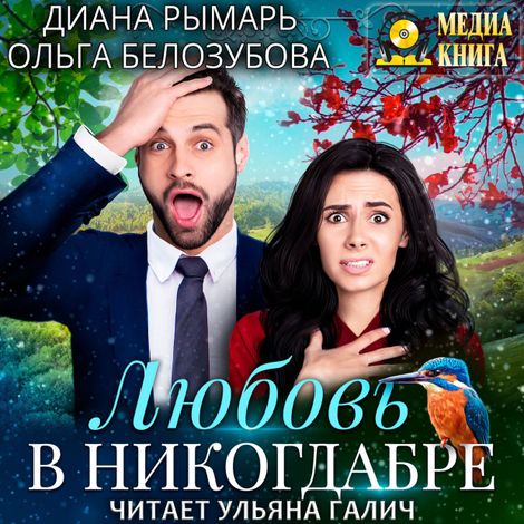 Аудиокнига «Любовь в никогдабре – Ольга Белозубова, Диана Рымарь»