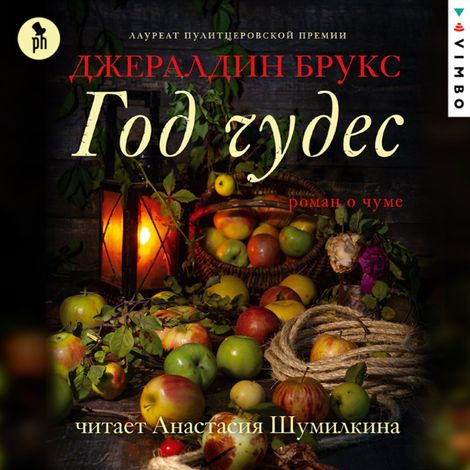 Аудиокнига «Год чудес – Джералдин Брукс»