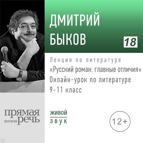 Аудиокнига «Русский роман: главные отличия. Литература. 9-11 класс – Дмитрий Быков»