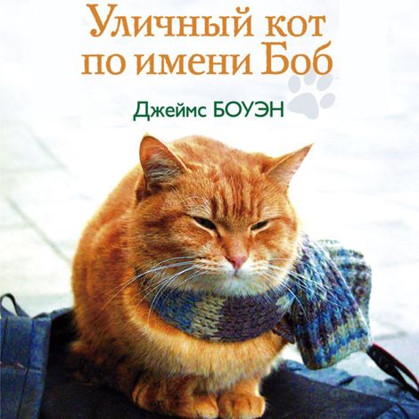 Аудиокнига «Уличный кот по имени Боб – Джеймс Боуэн»