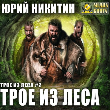 Аудиокнига «Трое из леса – Юрий Никитин»