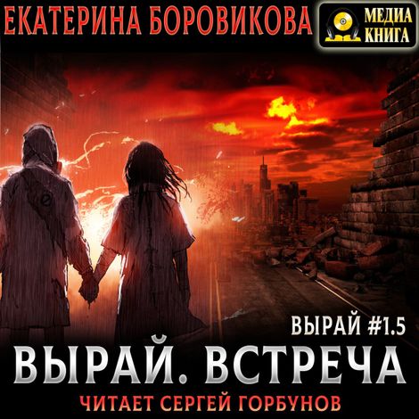 Аудиокнига «Вырай 1.5. Встреча – Екатерина Боровикова»