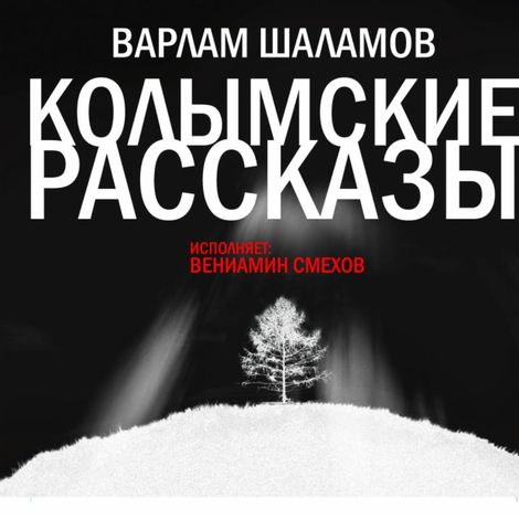 Аудиокнига «Колымские рассказы – Варлам Шаламов»