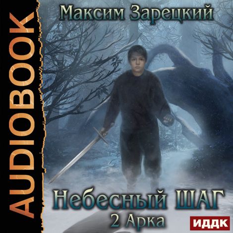 Аудиокнига «Небесный шаг (2 арка) – Максим Зарецкий»